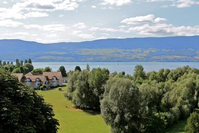 Blick über Bäume auf den Neuenburgersee bei Estavayer-le-Lac.