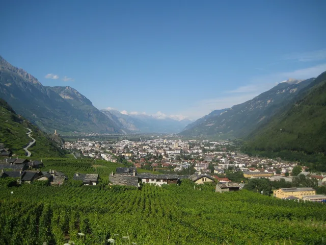 Das Rhonetal bei Martigny mit Rebbergen.